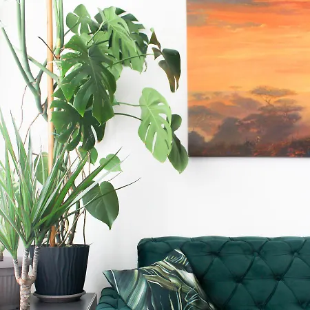 Little Jungle * Szarajevó