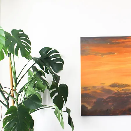 Little Jungle Apartman *