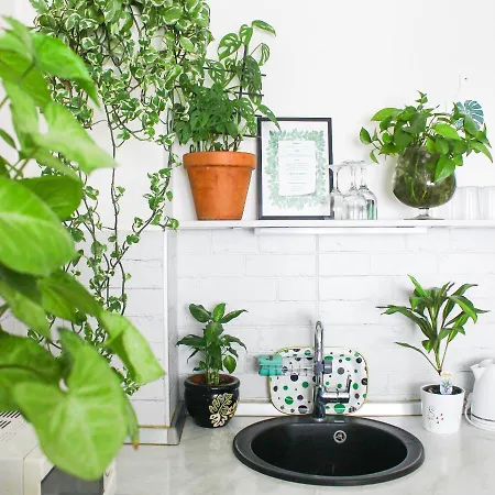 Little Jungle Apartman Szarajevó