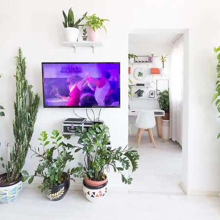 Little Jungle Szarajevó