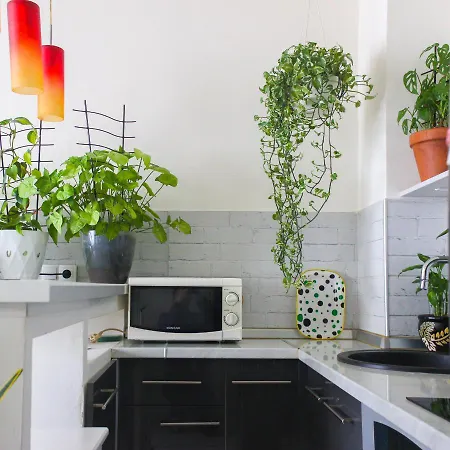 Apartman Little Jungle