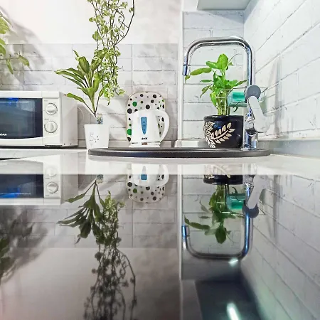 Apartman Little Jungle