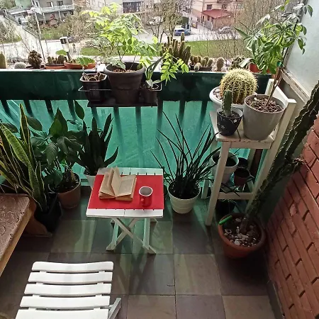 דירה Little Jungle *