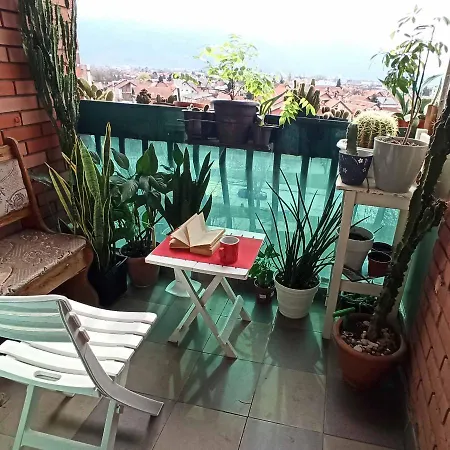 Little Jungle סראייבו