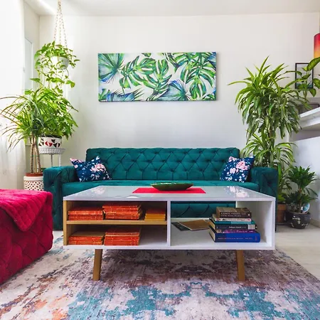 Little Jungle * Szarajevó