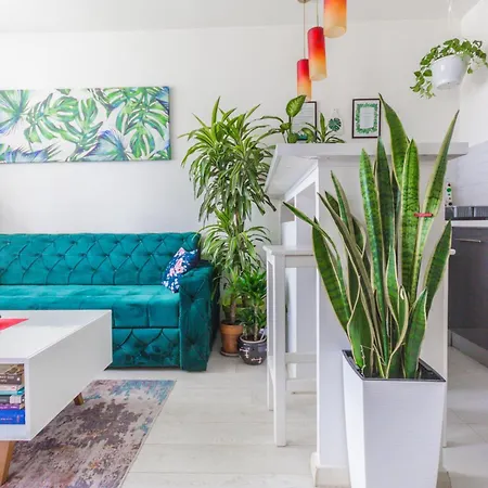 Little Jungle Apartman *