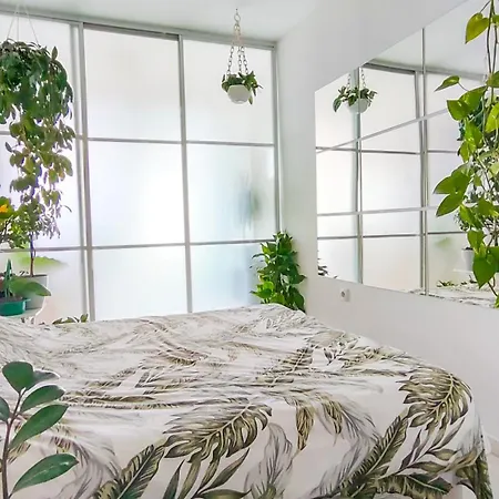 Little Jungle Szarajevó