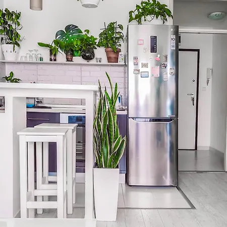 Little Jungle * Szarajevó