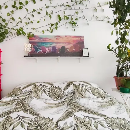 Apartman Little Jungle *